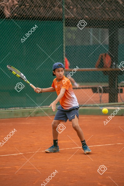 STEF0246.jpg