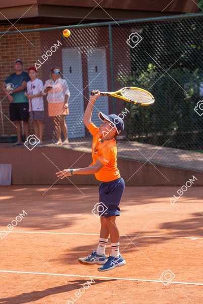 STEF0486 2.jpg