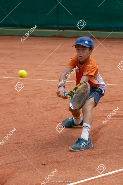 STEF0407.jpg