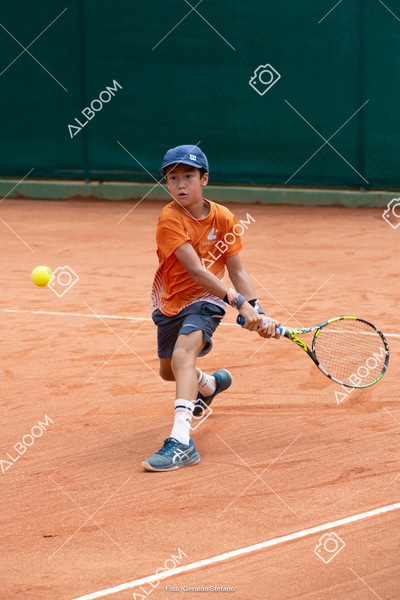 STEF0406.jpg