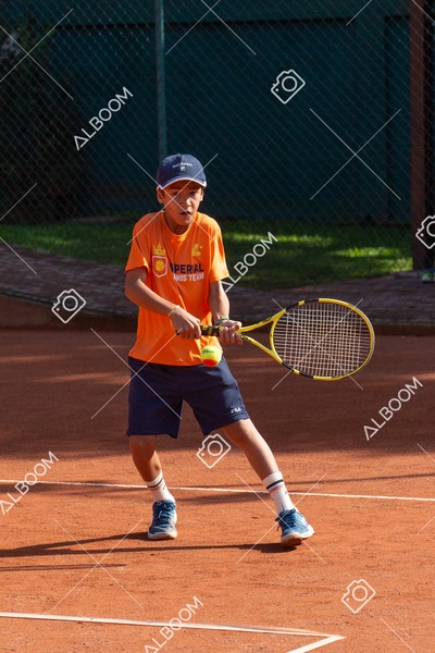 STEF0286.jpg