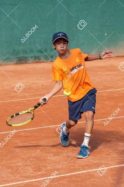 STEF0301.jpg
