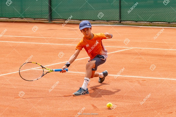 STEF0373.jpg