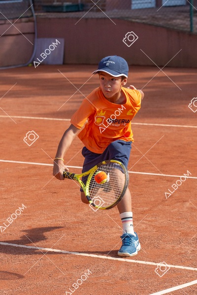 STEF0290.jpg