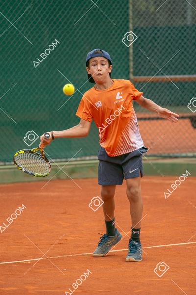 STEF0248.jpg