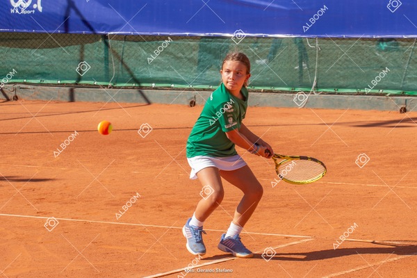 STEF1114.jpg