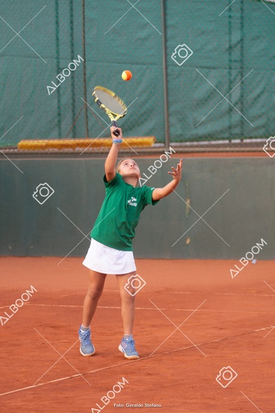 STEF2643.jpg