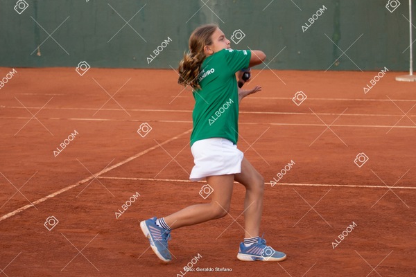 STEF2654.jpg