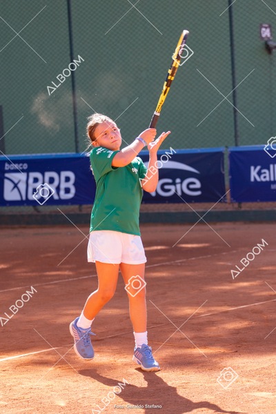 STEF1126.jpg