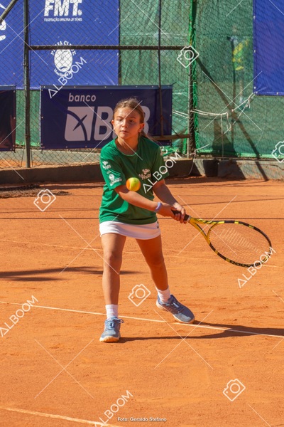 STEF1140.jpg