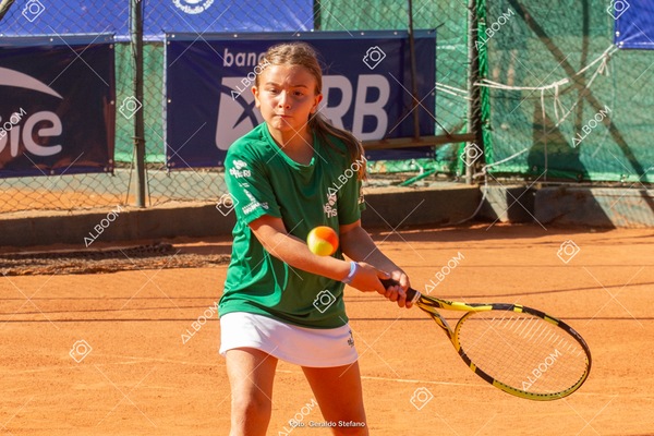 STEF1109.jpg