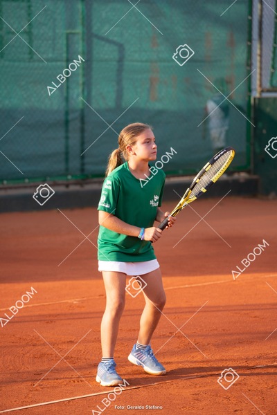 STEF2620.jpg