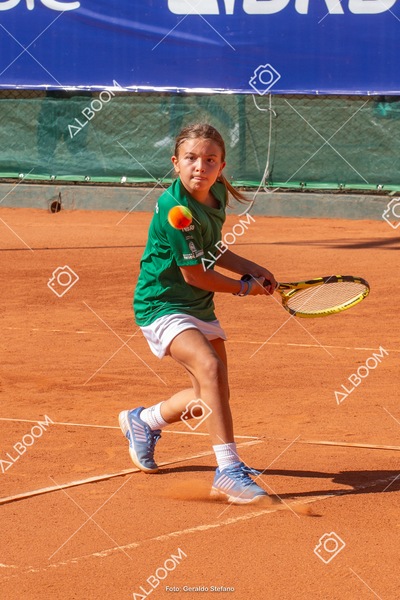 STEF1115.jpg