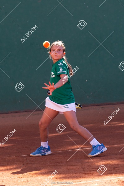 STEF1083.jpg