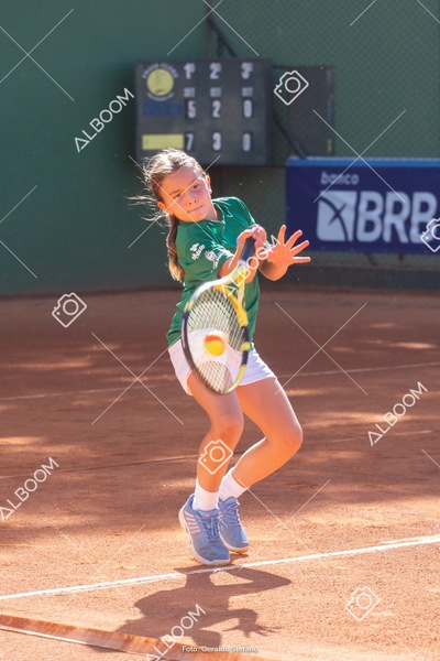 STEF1078.jpg