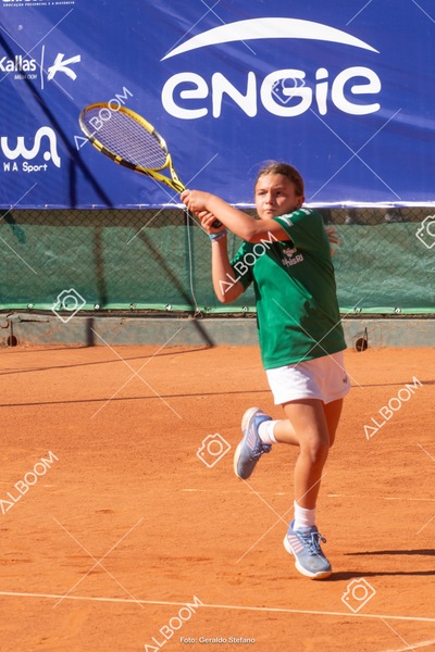 STEF1146.jpg