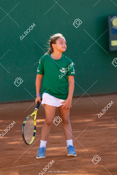 STEF1077.jpg