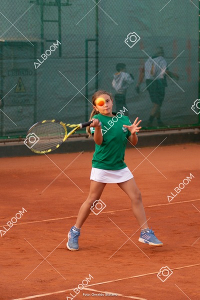 STEF2721.jpg