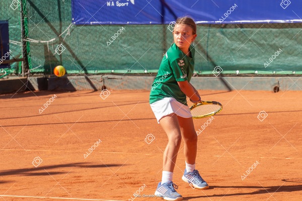 STEF1117.jpg