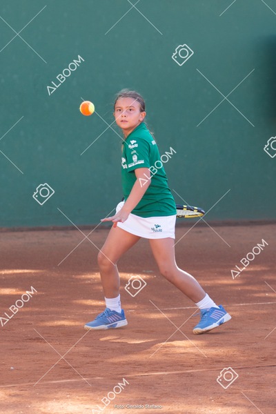 STEF1082.jpg