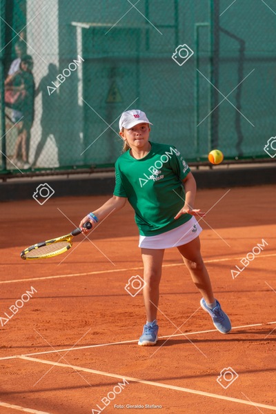 STEF1919.jpg