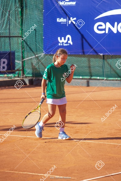 STEF1103.jpg