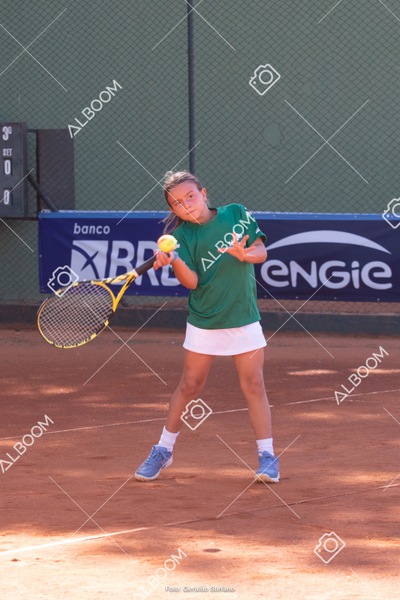 STEF1131-2.jpg