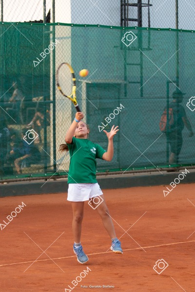 STEF2723.jpg