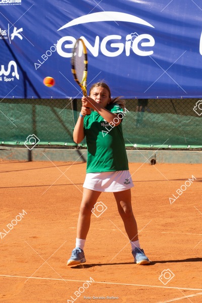 STEF1143.jpg