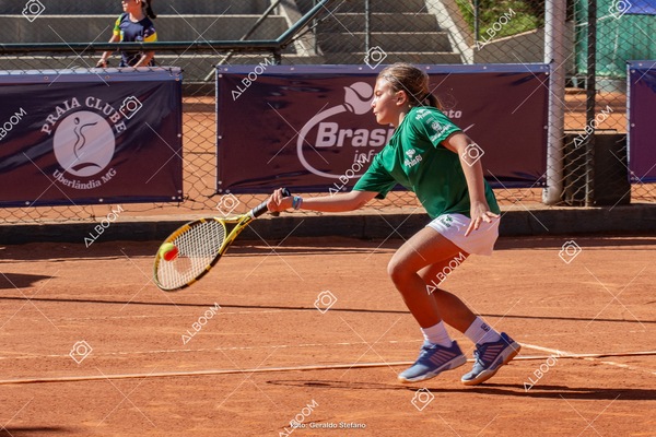 STEF1138.jpg