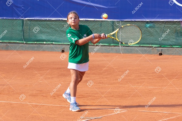 STEF1106.jpg