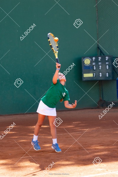 STEF1091.jpg