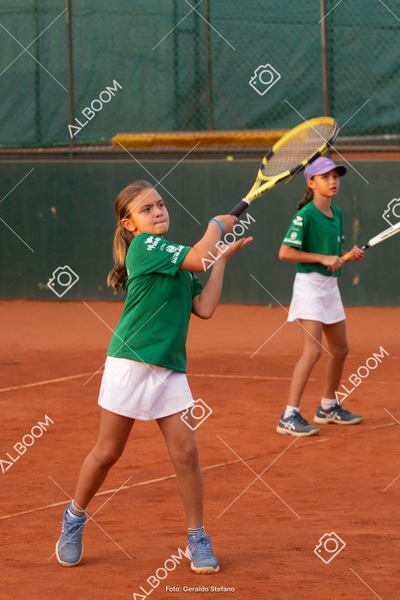 STEF2720.jpg