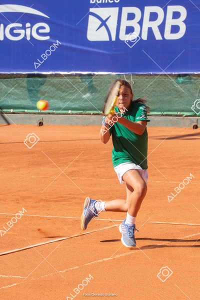 STEF1116.jpg