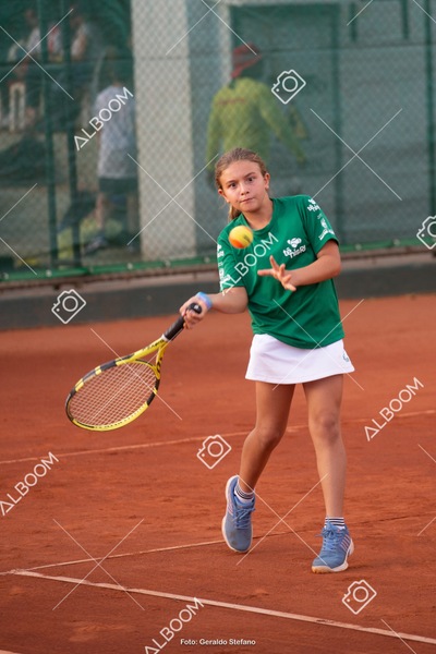 STEF2641.jpg