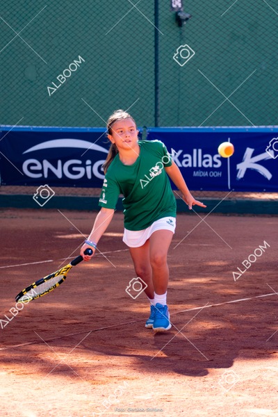 STEF1135.jpg