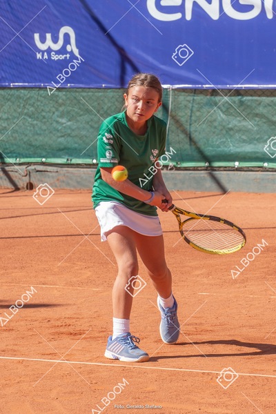 STEF1118.jpg