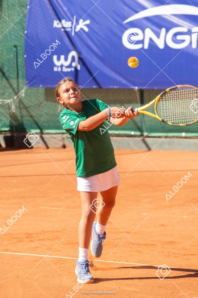 STEF1148.jpg