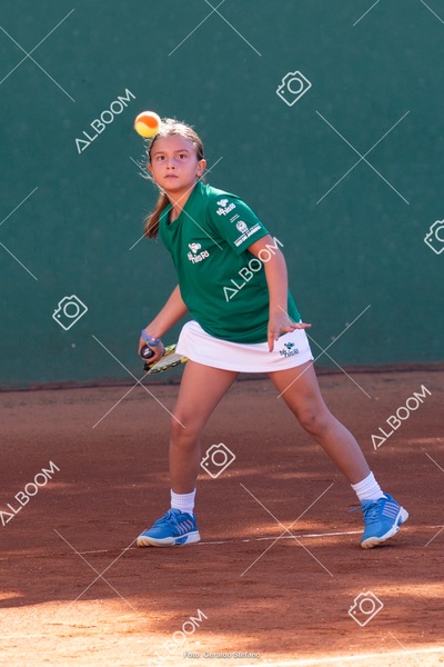 STEF1084.jpg