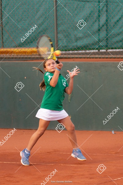 STEF2648.jpg