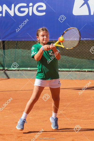 STEF1150.jpg