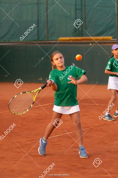 STEF2719.jpg