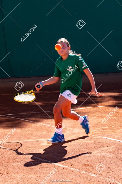STEF1123.jpg