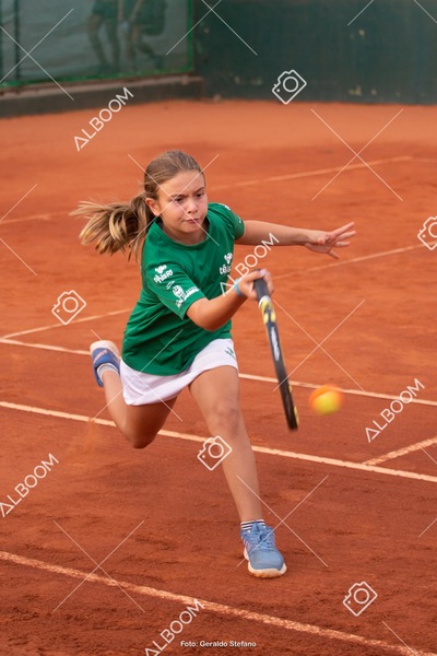 STEF2672.jpg
