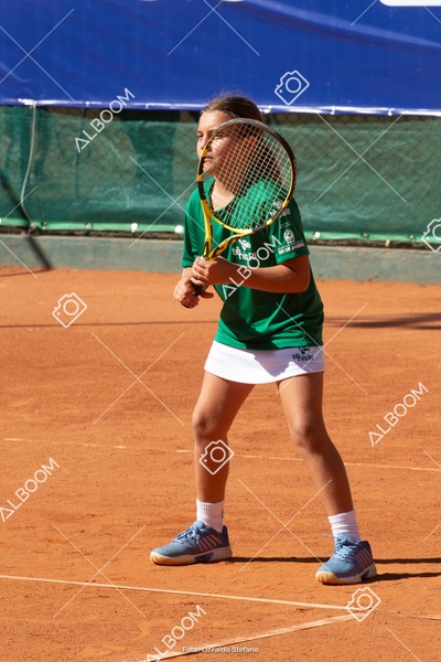 STEF1141.jpg