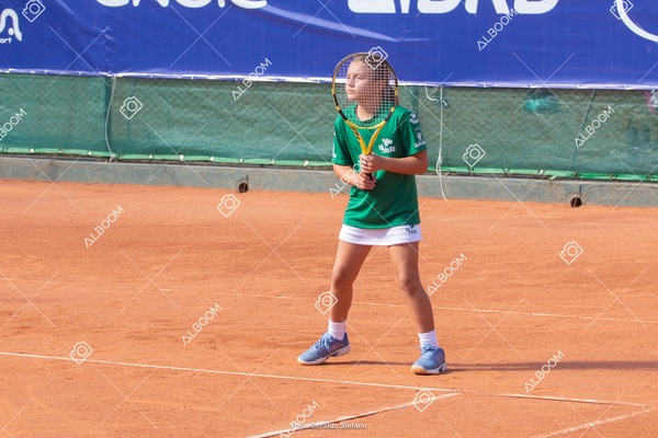 STEF1105.jpg