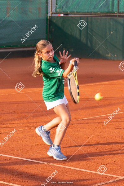 STEF2621.jpg