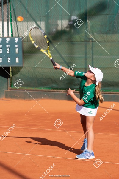 STEF1911.jpg