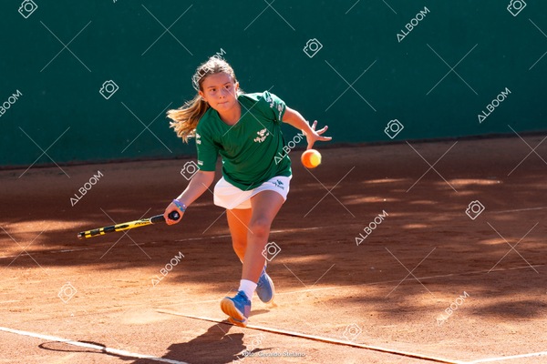 STEF1094.jpg