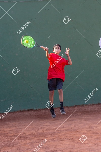 STEF5661.jpg